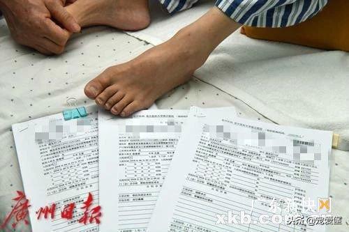 目前狗的市场行情,今年狗的行情怎么样