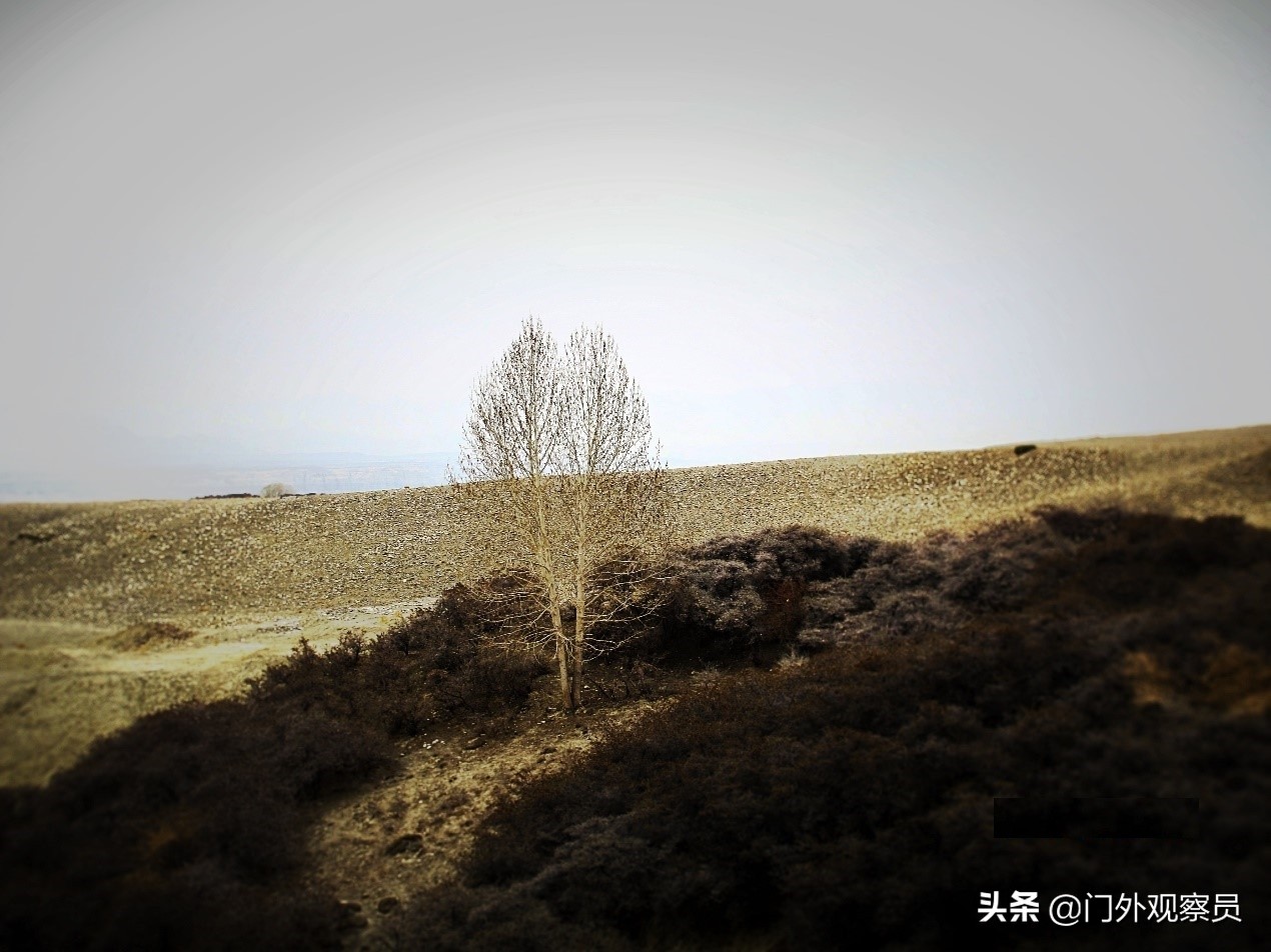 为什么到西藏一定要去阿里,不去拉萨能到那曲吗