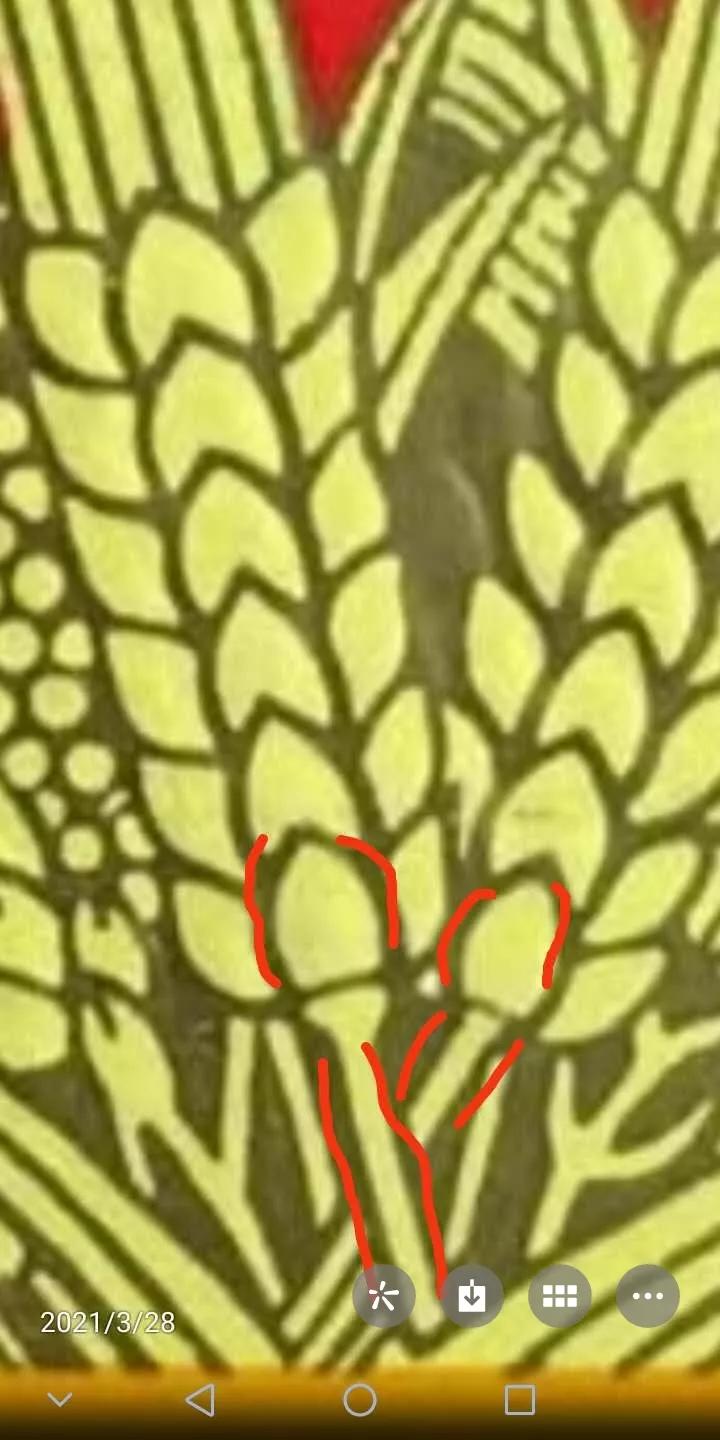 认识一下车标,最新五粮液萝卜瓶全系列