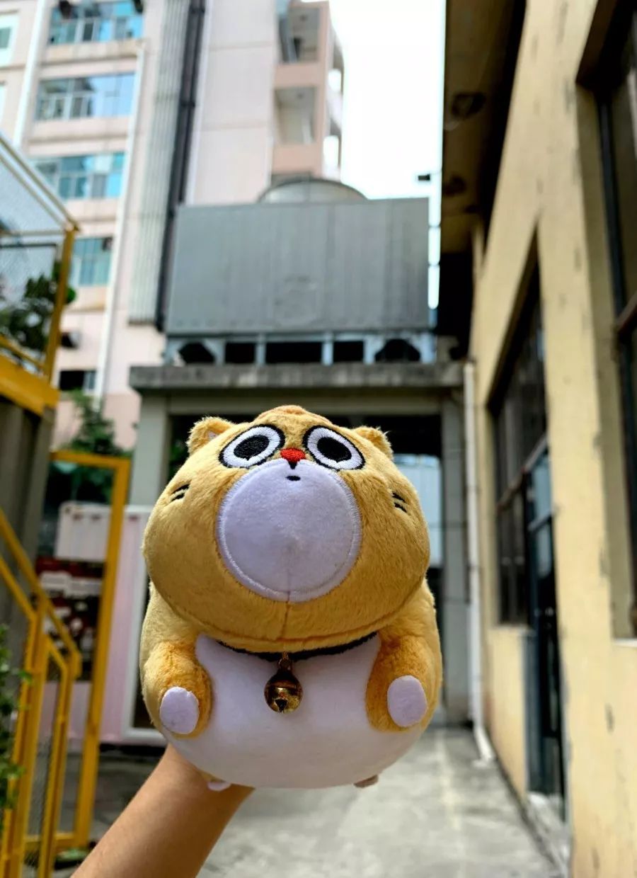 去蛇口玩吗,深圳蛇口值得去吗