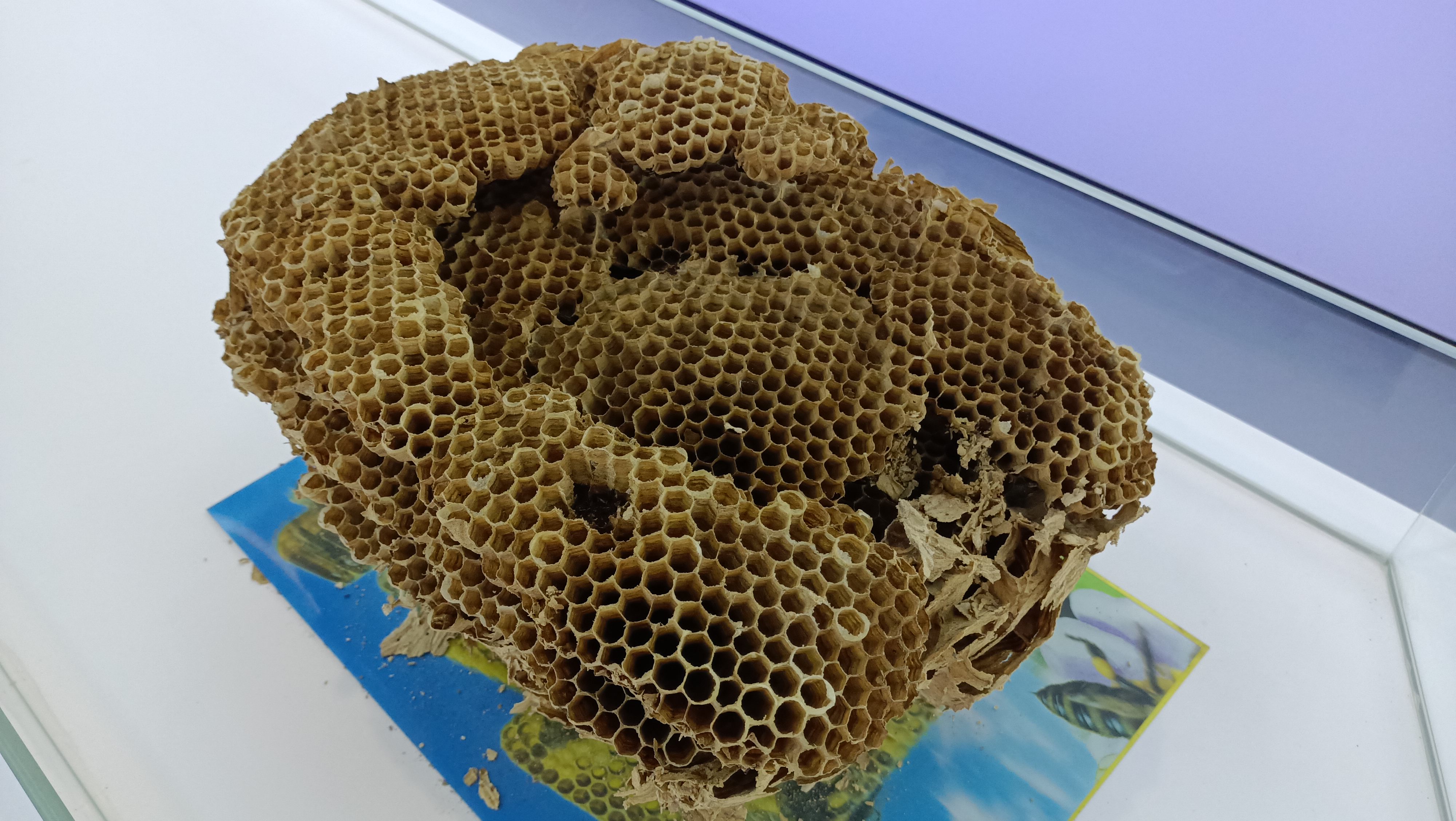 沿着公路看乡村振兴,沿着高速看广西乡村振兴