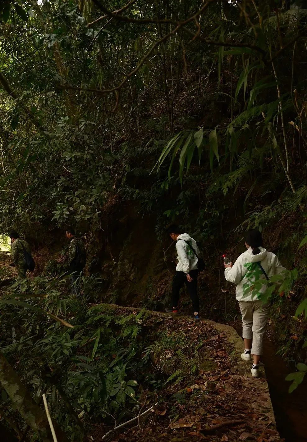 新生代黑马之百花潭!汤香蕴郁百花香,世外桃源的茶,一喝就沉醉
