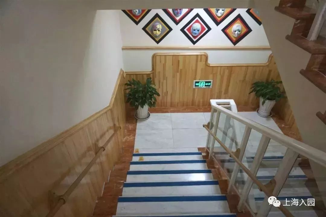 探园|这所幼儿园堪称“天然氧吧”!开办2年人气超高!报名人多