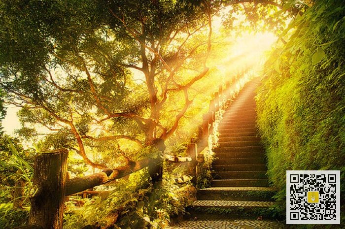 破除心理,如何才能突破心理牢笼