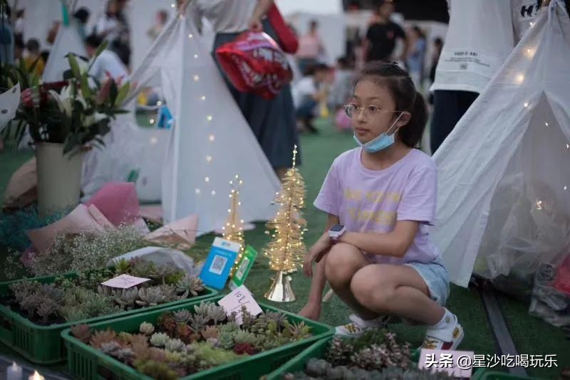 乘风破浪第几季是天花板,乘风破浪总共出几集了