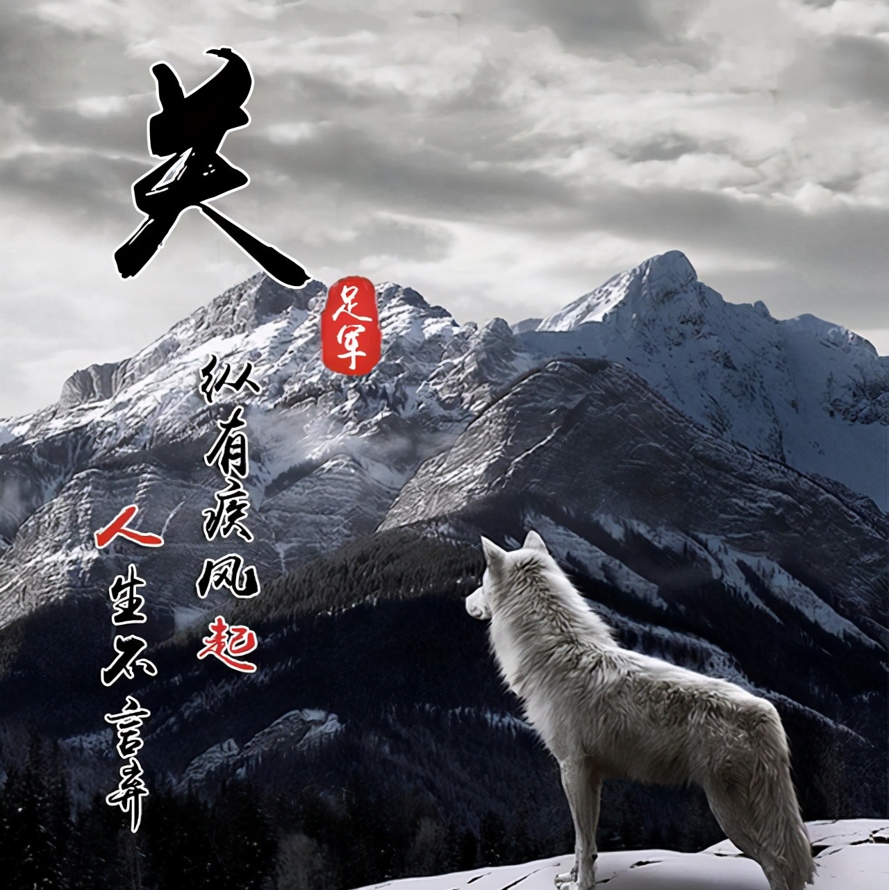 2023年张姓专属头像超帅,100个超好看的头像高清