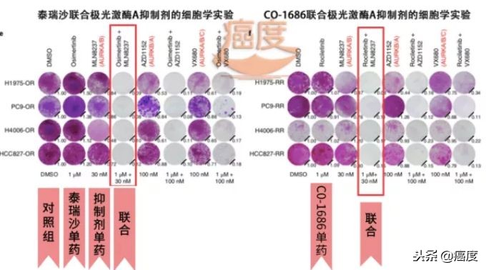 抗肿瘤靶向药物egfr,egfr靶向药物易瑞沙