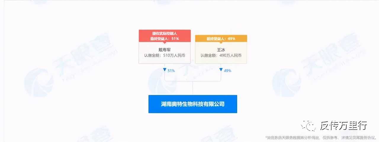 丽尔维美是骗人的吗,丽尔维美骗局揭秘