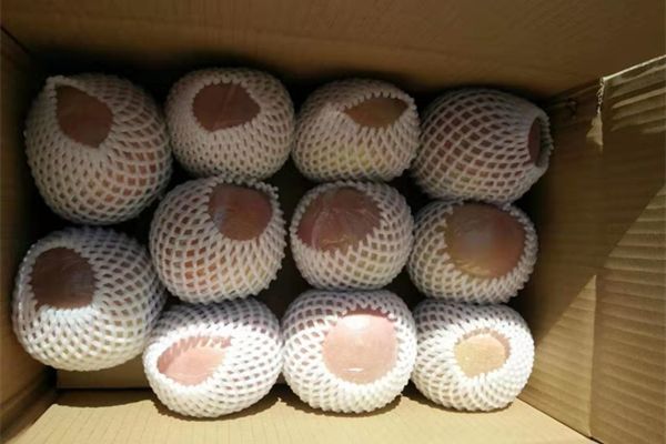 一乡一品助力乡村振兴,一乡一品振兴路