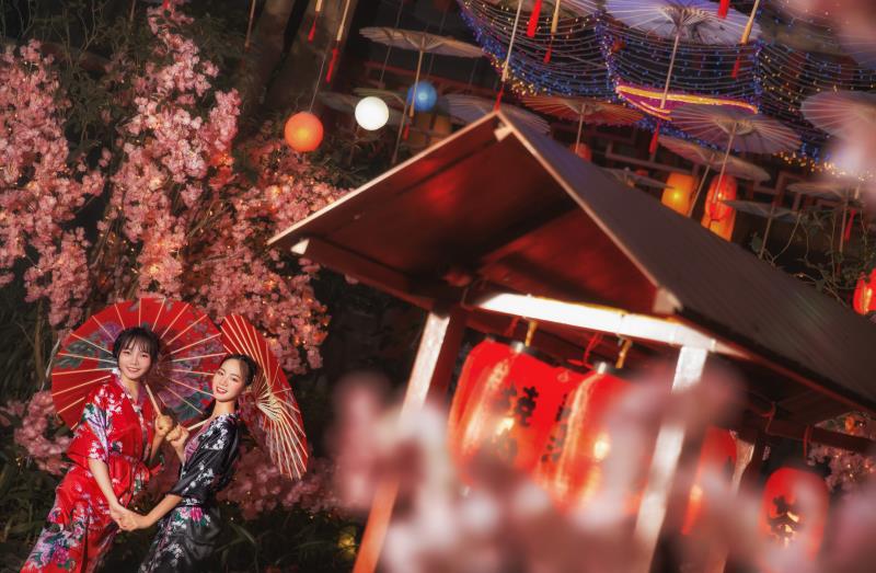 海口观澜湖五大洲矿温泉新添樱花韵味冬日泡汤正能量吸引众多市民前来