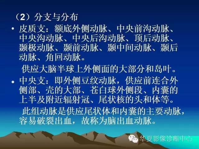 小脑血管解剖分段,脑血管影像解剖讲解
