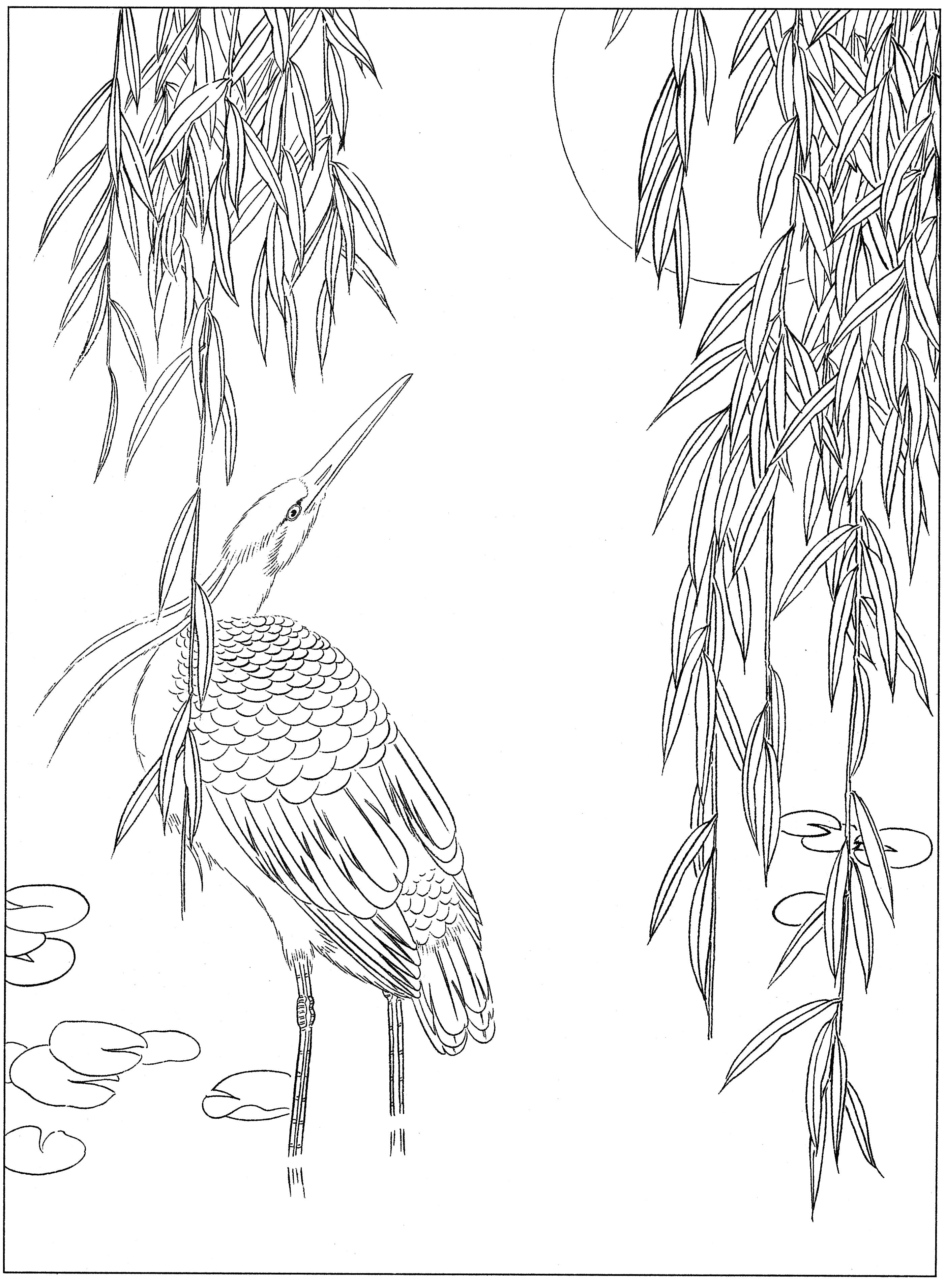 花鸟工笔四条屏白描高清大图,牡丹六尺横幅白描工笔花鸟底稿