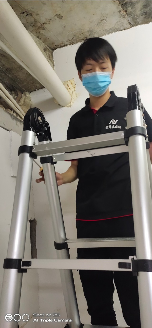 惠州上门灭白蚁公司推荐,惠州专业白蚁灭杀公司