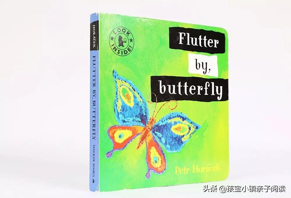 0-2岁宝宝最全英文绘本推荐（下）「吐血整理，建议收藏」