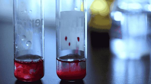 央视重口法医纪录片,网友直呼看不过瘾