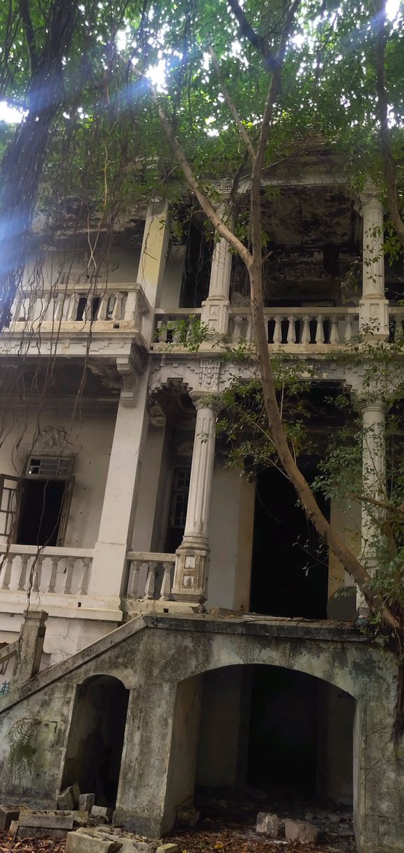 厦门虎园路富豪楼,厦门虎园路私宅