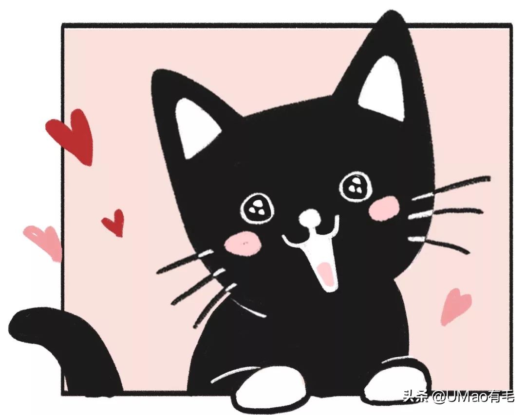 刷毛神器猫毛清理器,真正好用的猫去毛神器