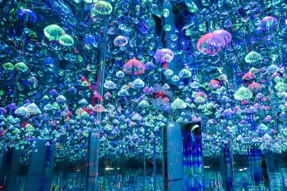 仿生筒灯设计,仿生设计莲花灯