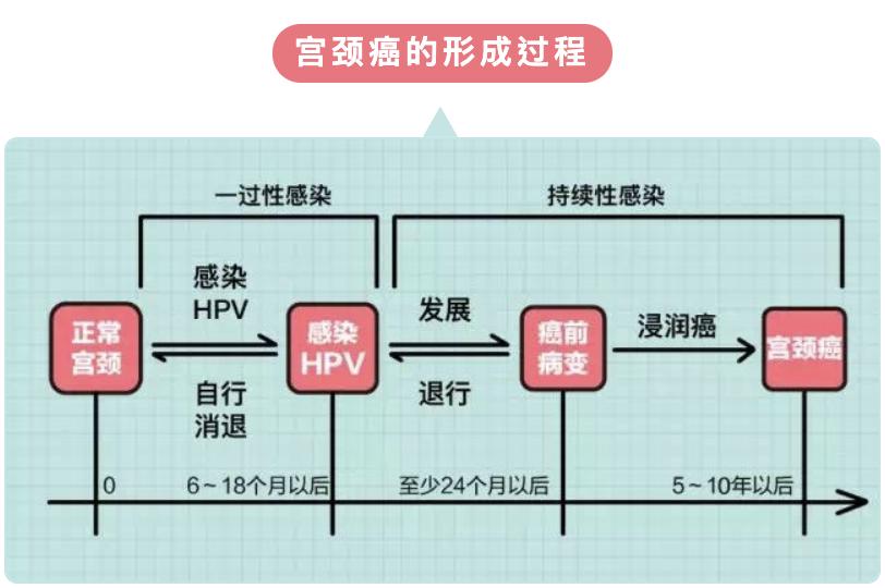 hpv26高危型,高危hpv33感染可以治疗吗