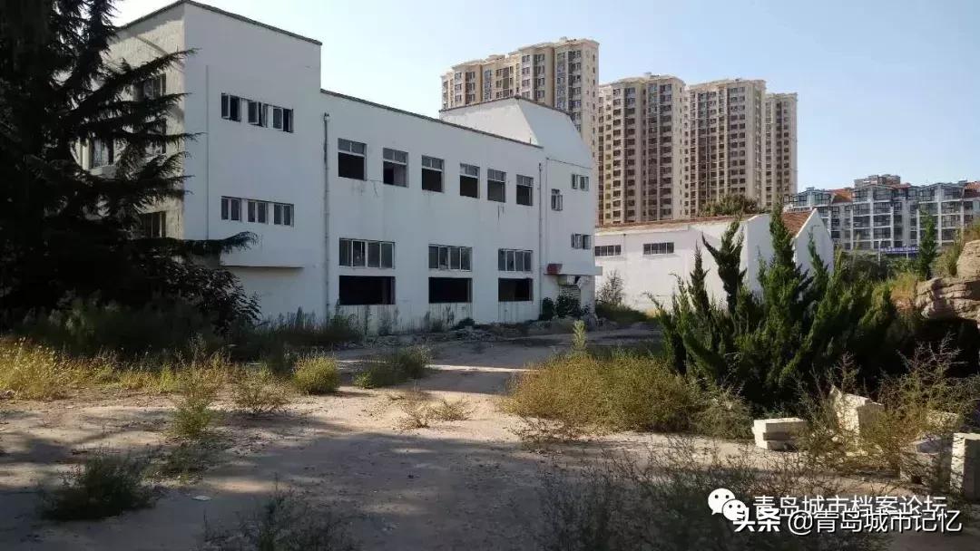 四十年前的青岛葡萄酒,青岛知名葡萄酒