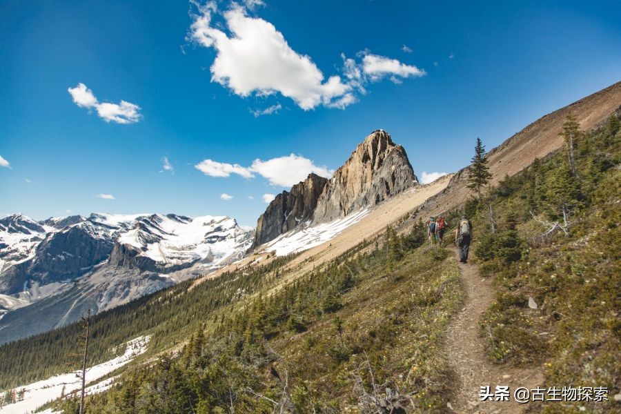古生物学家发现新恐龙物种,1亿年前海洋中最大的捕食者