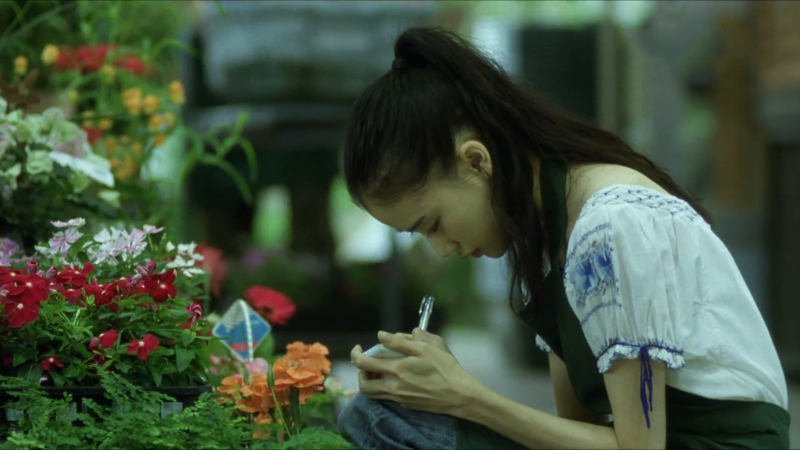 百万元与苦虫女讲了啥,百万元与苦虫女解读