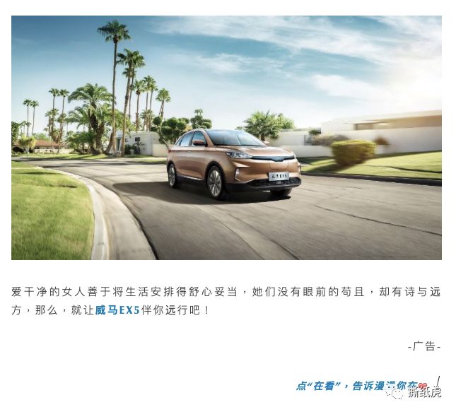 揭秘自媒体公司,自媒体团队骗局曝光