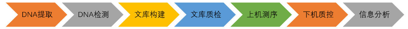 肠道菌群宏基因组,肠道微生物宏基因组检测有必要吗