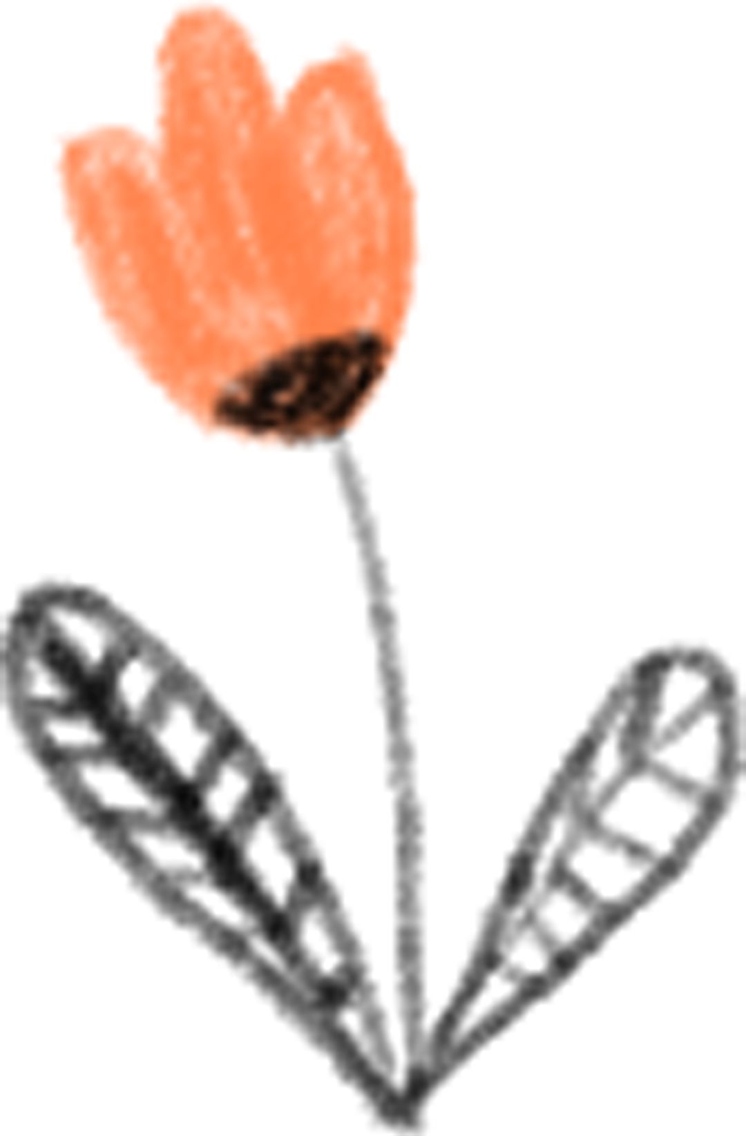 姜堰洗车场整治方案,违法洗车点整治方案