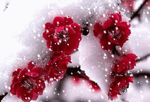 有人思念也是一种幸福的句子,有人思念和牵挂也是幸福