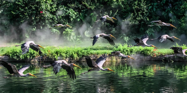 鏃呮父鏅偣骞垮窞闀块殕鏀荤暐,骞垮窞闀块殕鏃呮父鏅偣鎺掑悕绗竴