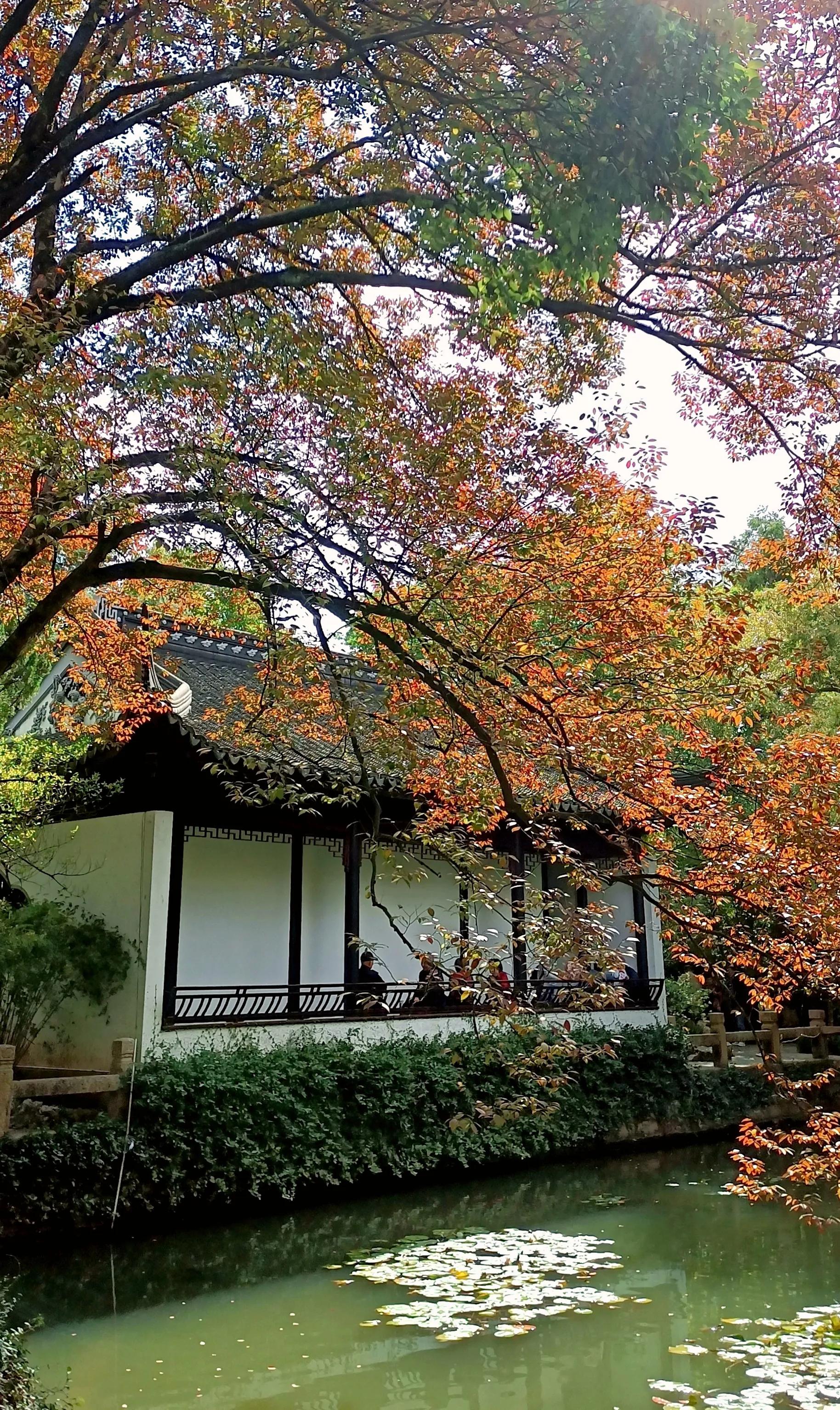 秋景诗句简单鉴赏,带秋的古诗词赏析