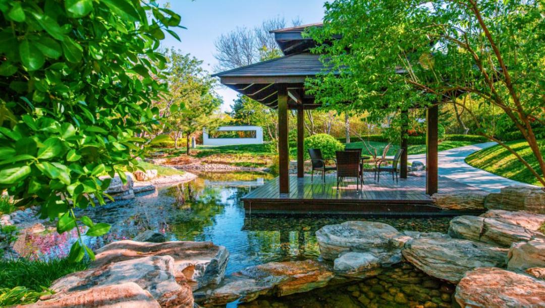 以初心鉴真心丨我家配套800亩森林运动公园，是怎样一种体验？