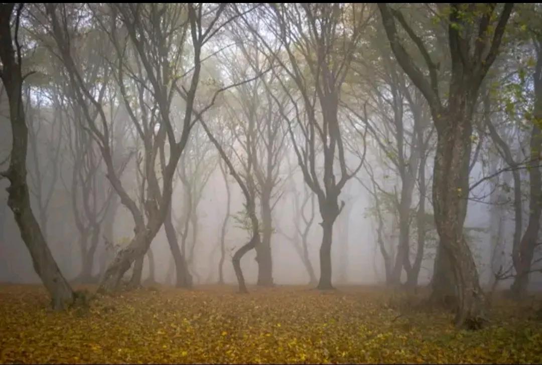 恐怖电影中真实存在的鬼屋,盘点恐怖片中最容易闹鬼的场所
