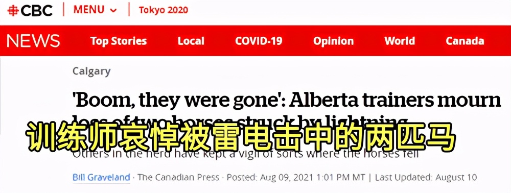 550只羊被雷劈死,500头羊被闪电劈死