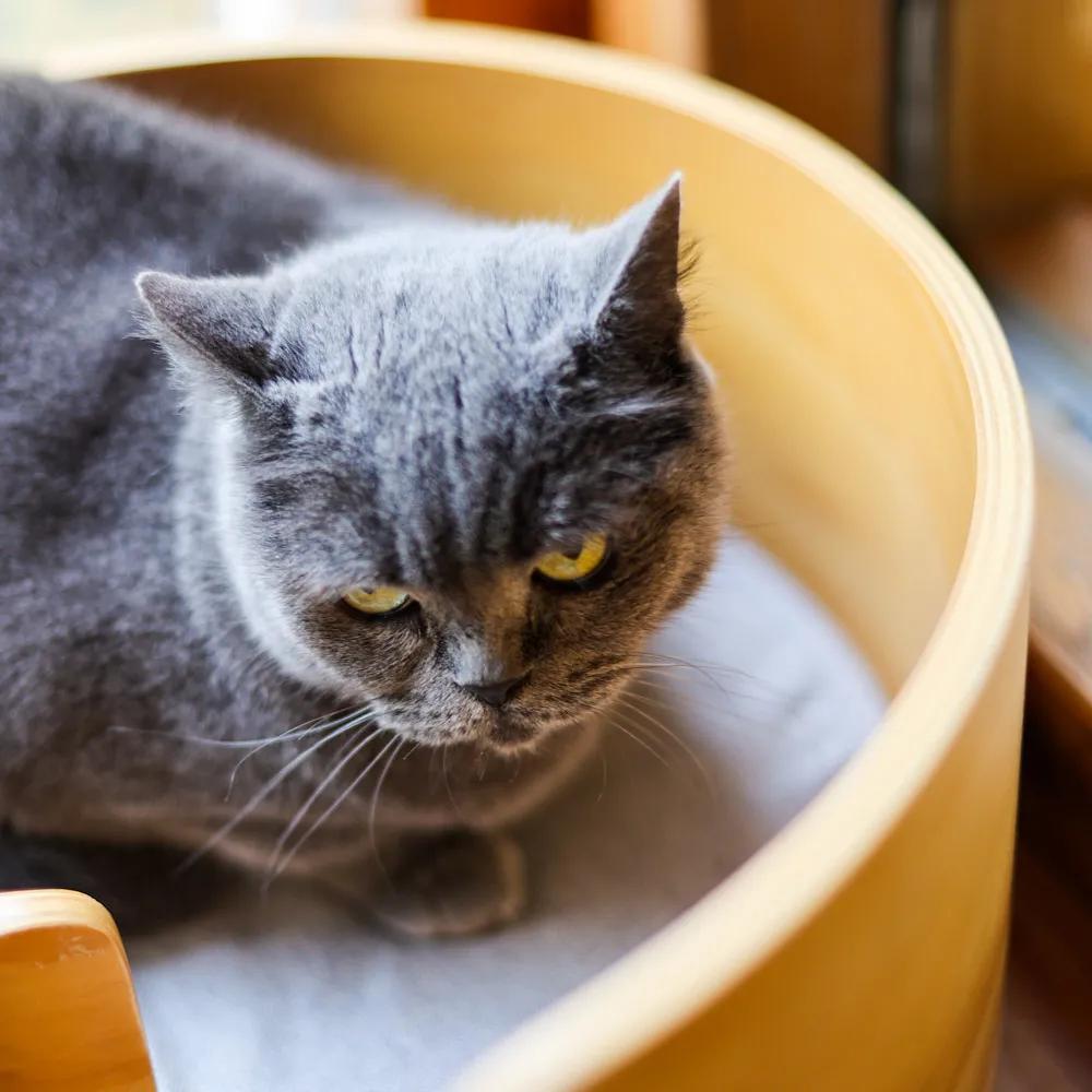 听说我没有脖子？