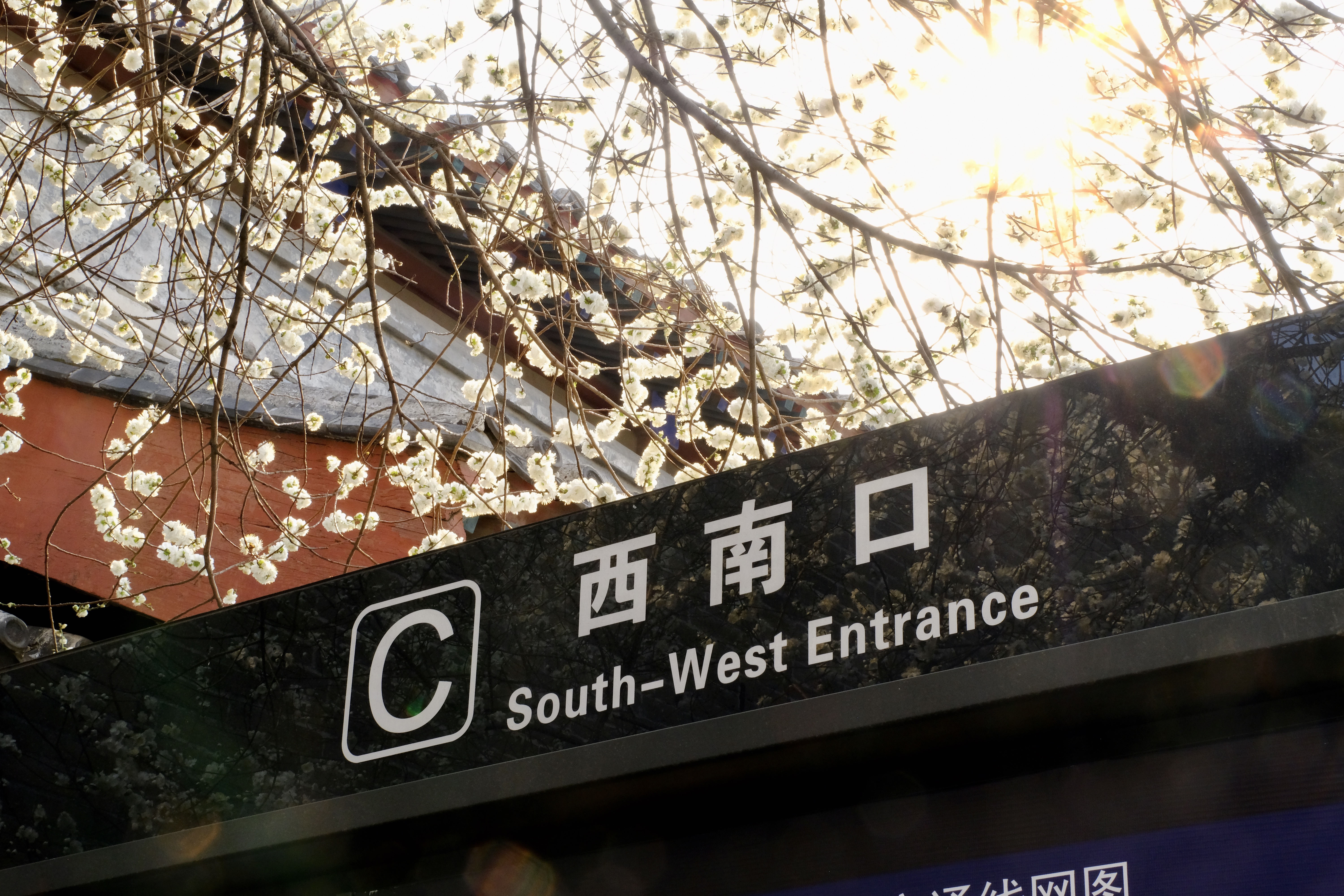 开往地铁上的春天,开往春天的地铁邂逅京城的花开