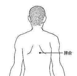 补气提升免疫力,补气提高免疫力最好的方法