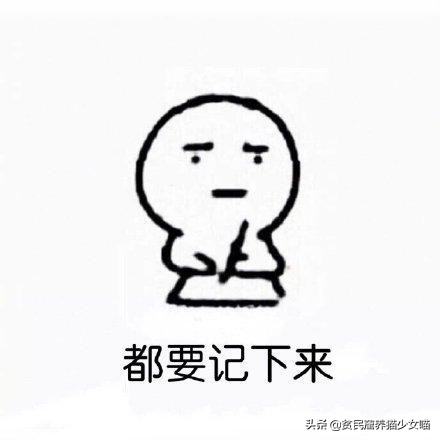 新手养猫家庭必备药省钱又好用,养猫必备18种药物有哪些