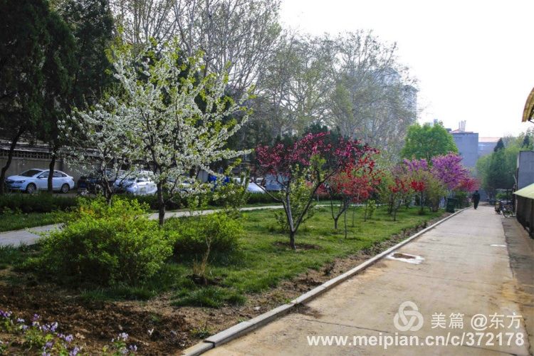 百年山东看青岛千年齐鲁逛青州,山东大学趵突泉景区