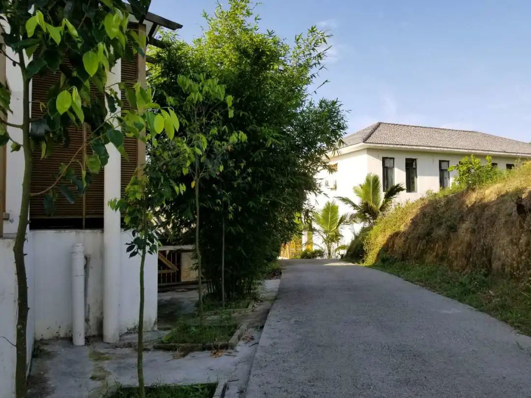 琼中秋之韵山水民宿,琼中蜜柚山庄民宿