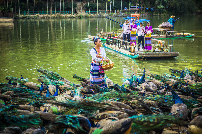 到西双版纳过大年，六日出行超详细吃，住，行攻略