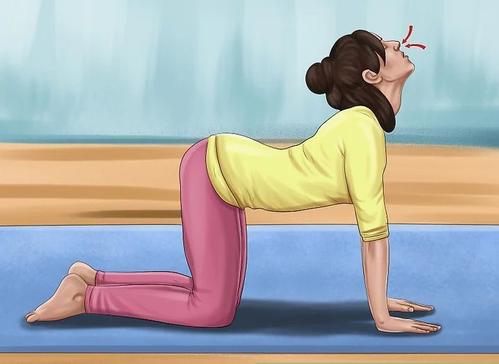 适合早上练的瑜伽动作视频,适合早上做的瑜伽动作