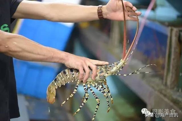 这些诱人的美食你吃过吗,世界上顶级海鲜大全你吃过几种