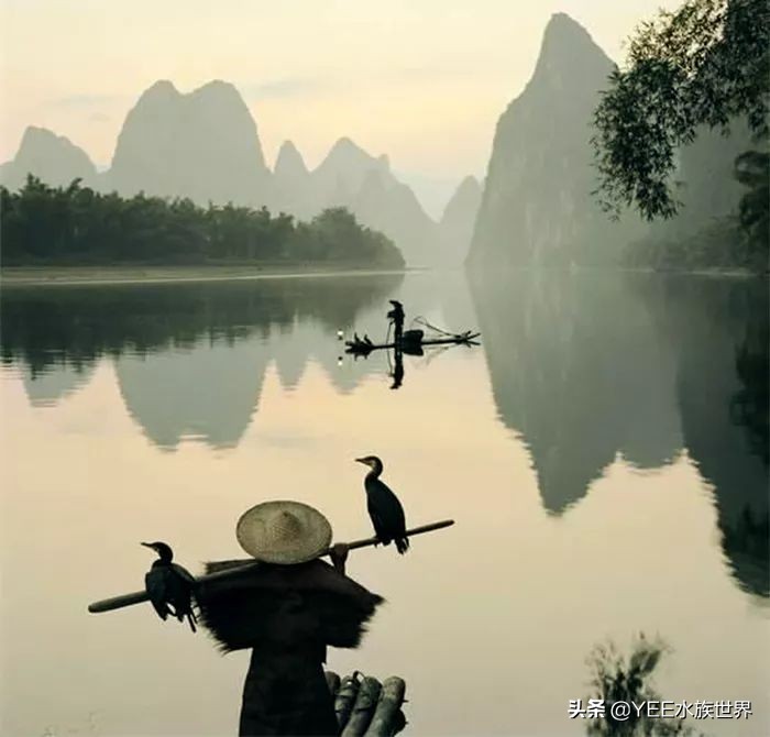 鱼鹰老人:可不可以,不要忘了我们