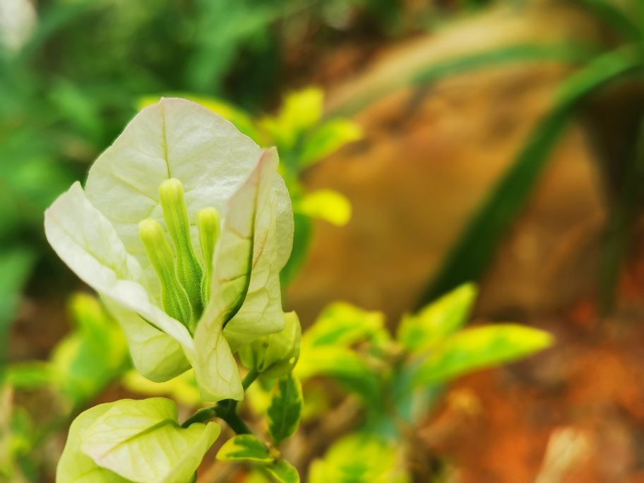 深圳宝安海滨公园游园图,深圳市娱乐场所