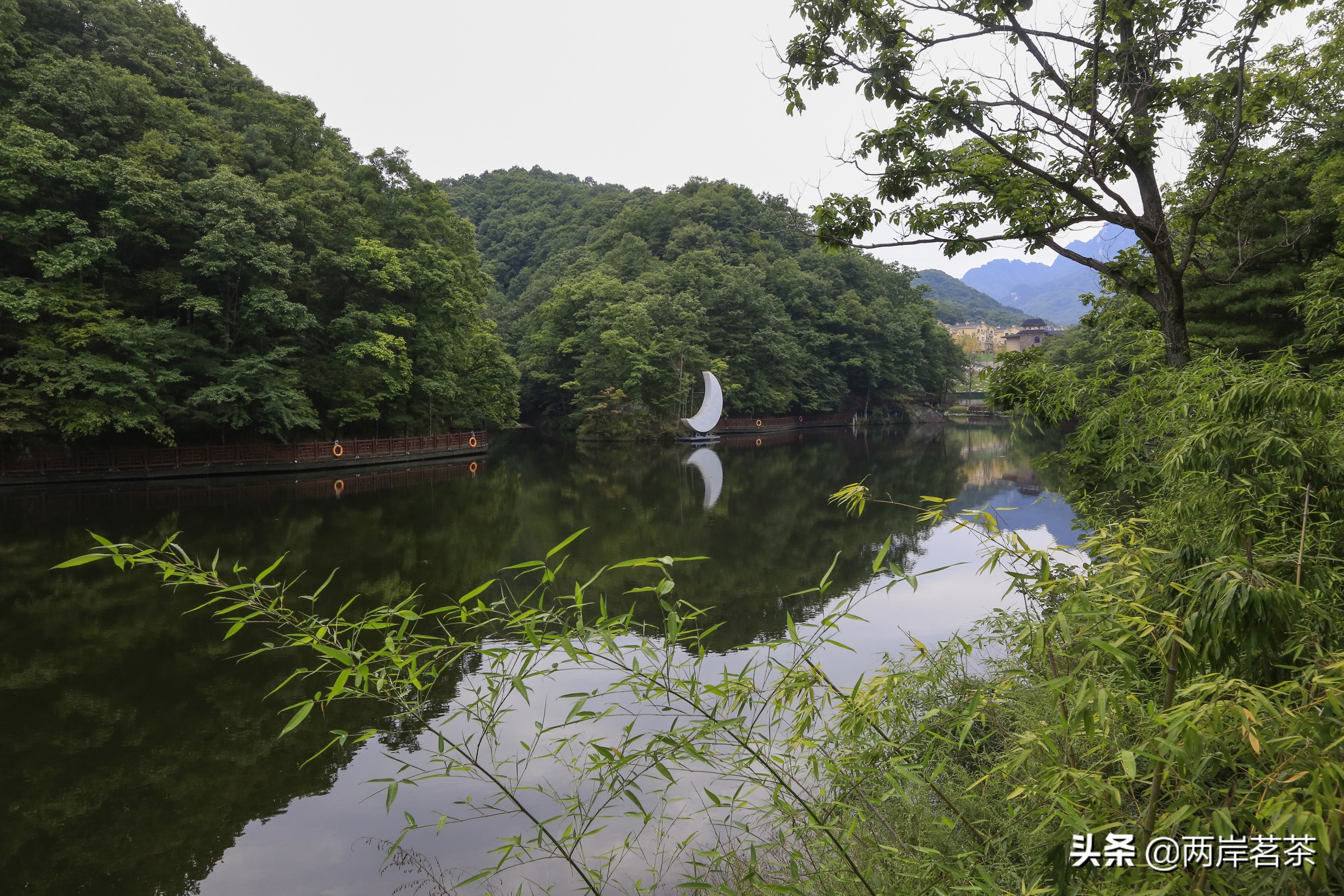 再看白云山，看山不是山，它是一本百读不厌的百科全书