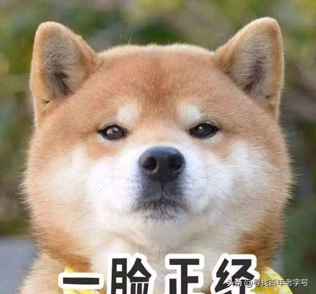 真正的竹子酒,关于网红竹子酒你真的知道吗