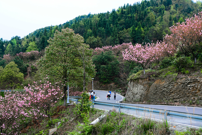 疫情对湖南这里居然丝毫没有影响！0病发，还超级适合徒步旅行！