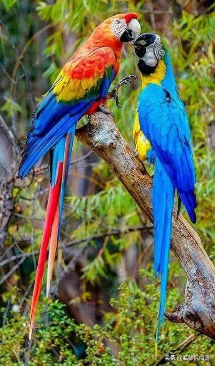 今天3月10，我的妈呀！谁编的，太好笑了，给群里乐一乐